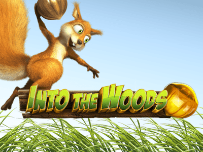 Into The Woods HD game cover