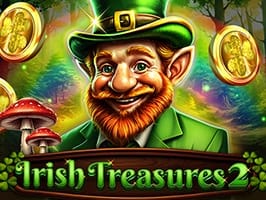 Irish Treasures 2 game cover