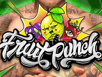 Fruit Punch game cover